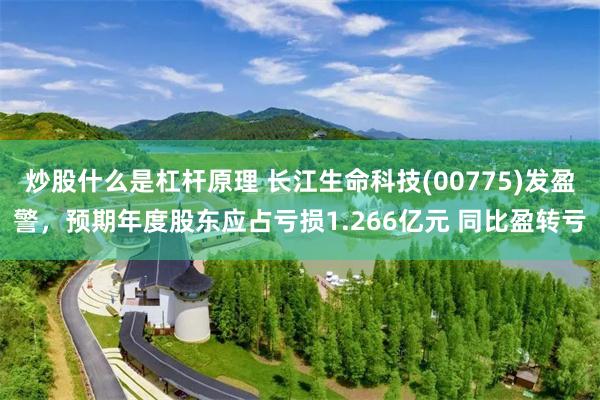 炒股什么是杠杆原理 长江生命科技(00775)发盈警，预期年度股东应占亏损1.266亿元 同比盈转亏