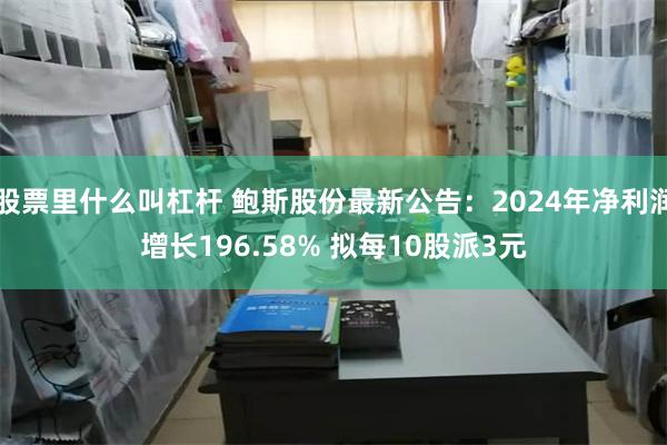 股票里什么叫杠杆 鲍斯股份最新公告：2024年净利润增长196.58% 拟每10股派3元