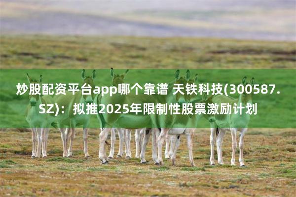 炒股配资平台app哪个靠谱 天铁科技(300587.SZ)：拟推2025年限制性股票激励计划