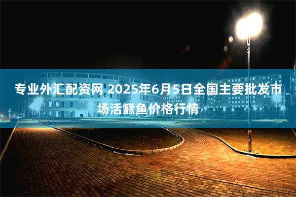 专业外汇配资网 2025年6月5日全国主要批发市场活鳜鱼价格行情