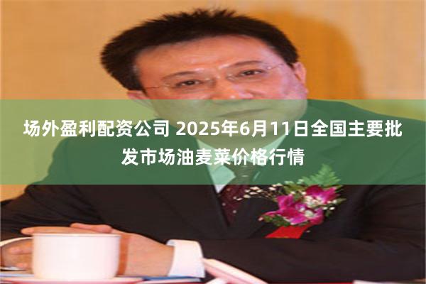 场外盈利配资公司 2025年6月11日全国主要批发市场油麦菜价格行情