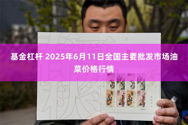 基金杠杆 2025年6月11日全国主要批发市场油菜价格行情