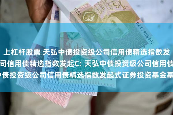 上杠杆股票 天弘中债投资级公司信用债精选指数发起A,天弘中债投资级公司信用债精选指数发起C: 天弘中债投资级公司信用债精选指数发起式证券投资基金基金合同
