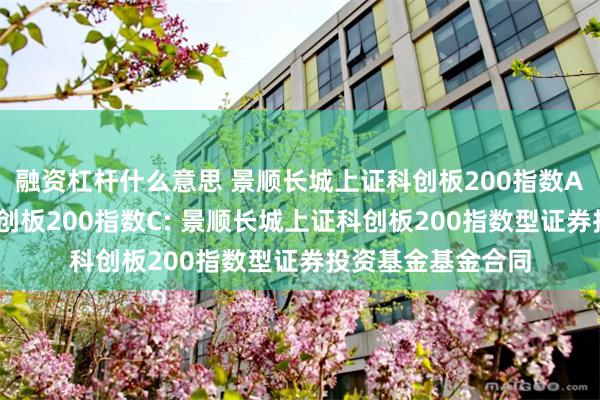 融资杠杆什么意思 景顺长城上证科创板200指数A,景顺长城上证科创板200指数C: 景顺长城上证科创板200指数型证券投资基金基金合同