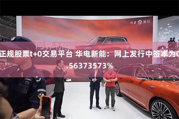 正规股票t+0交易平台 华电新能：网上发行中签率为0.56373573%