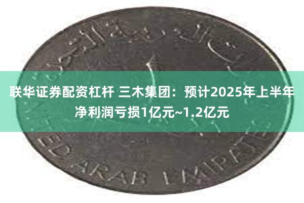联华证券配资杠杆 三木集团：预计2025年上半年净利润亏损1亿元~1.2亿元