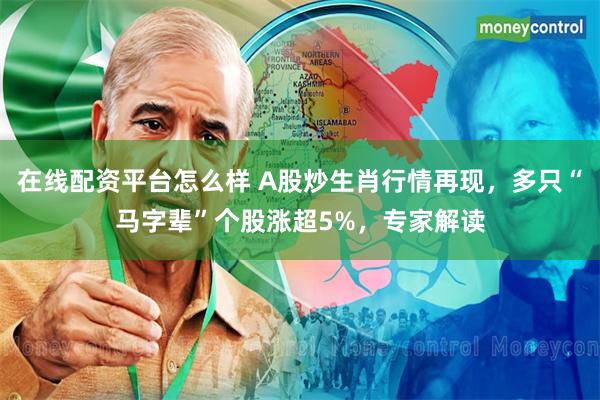 在线配资平台怎么样 A股炒生肖行情再现，多只“马字辈”个股涨超5%，专家解读
