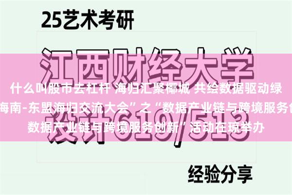 什么叫股市去杠杆 海归汇聚椰城 共绘数据驱动绿色发展新蓝图——“海南-东盟海归交流大会”之“数据产业链与跨境服务创新”活动在琼举办