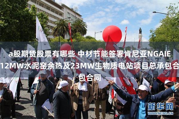 a股期货股票有哪些 中材节能签署肯尼亚NGAIE厂12MW水泥窑余热及23MW生物质电站项目总承包合同